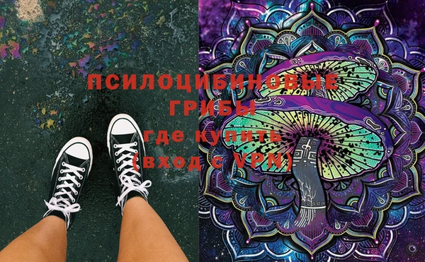 apvp Горняк