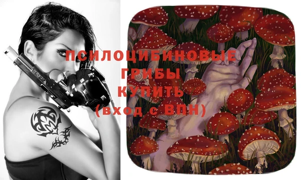 ешки Горно-Алтайск