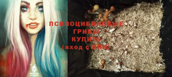 ешки Горно-Алтайск