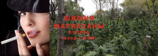 apvp Горняк