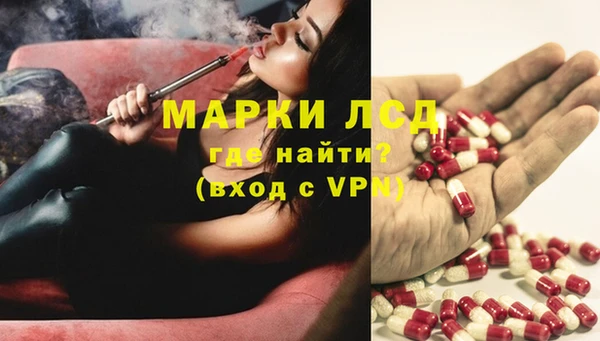 apvp Горняк