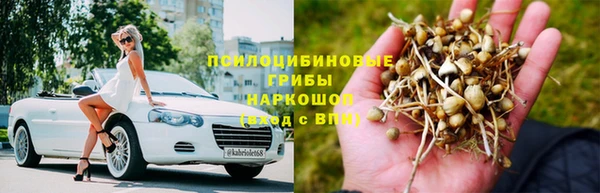 apvp Горняк