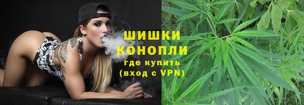apvp Горняк