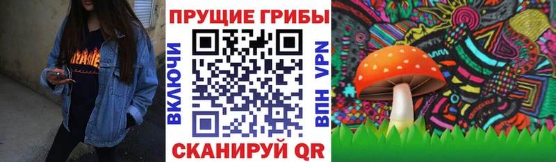 Купить где  Игарка  Галлюциногенные грибы мицелий 